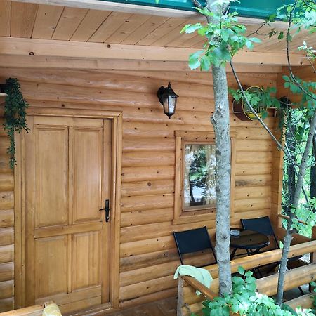 Still Cabin Цетине Екстериор снимка