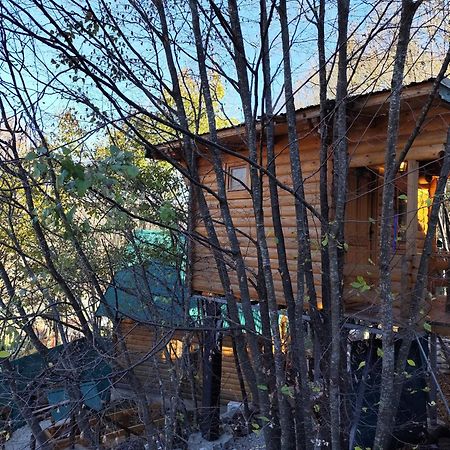 Still Cabin Цетине Екстериор снимка