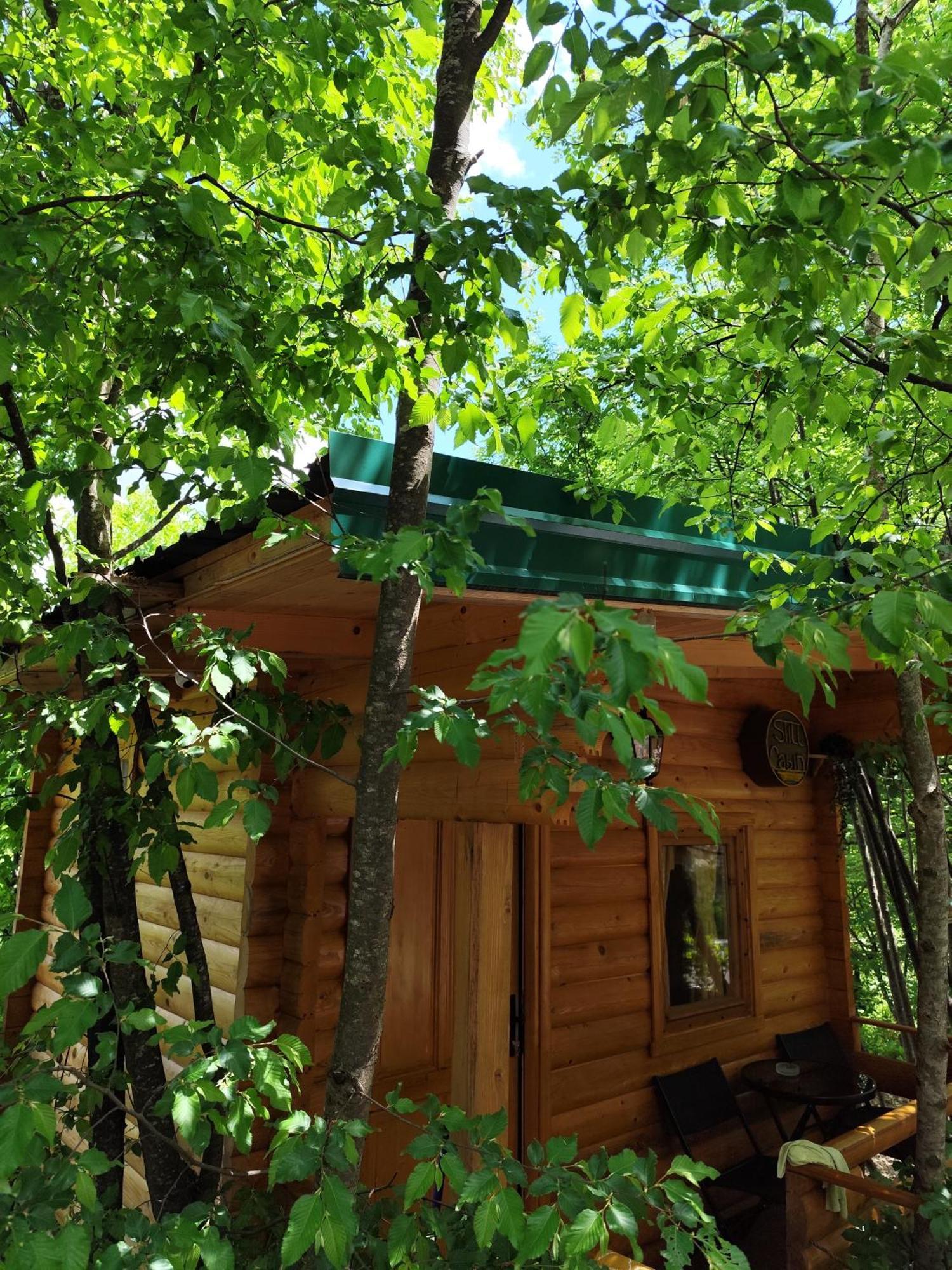 Still Cabin Цетине Екстериор снимка